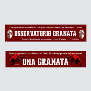 Sciarpa Limited Edition – Osservatorio Granata
